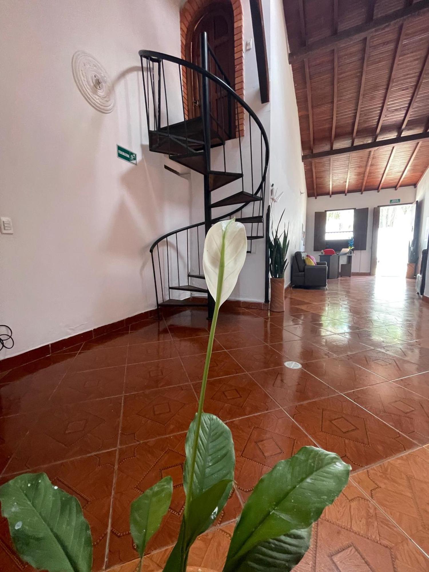 Hostel La Hormiga Баричара Экстерьер фото